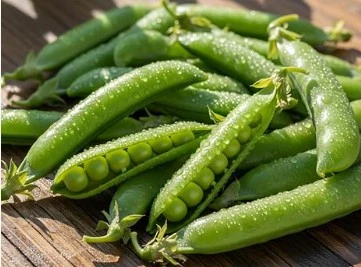 FARMERS EXPECT BUMBER PROFIT FROM GREEN PEAS