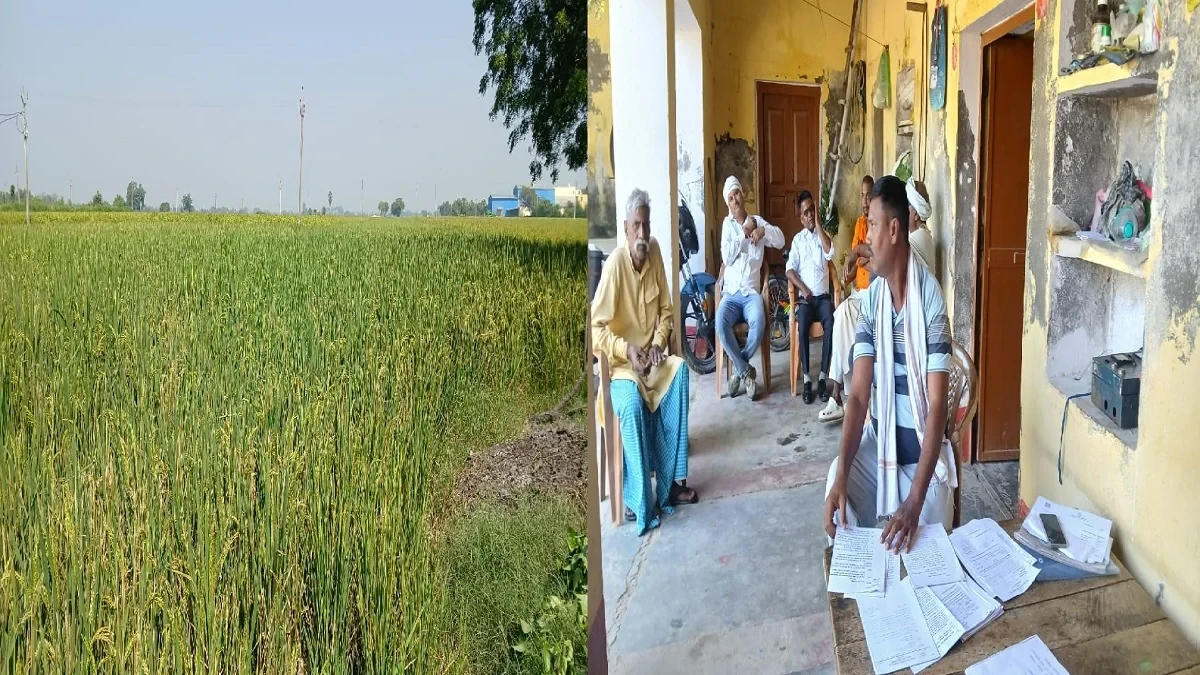 ALLEGATIONS OF A Rs. 16 CRORE EMBEZZLEMENT IN PADDY PROCUREMENT