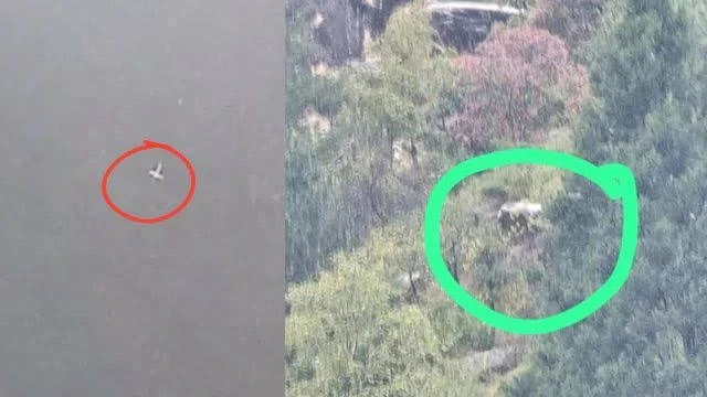 जोशीमठ हेलीकॉप्टर हादसा: बेंगलुरु के पांच श्रद्धालुओं की मौत, पुलिस इंस्पेक्टर भी शामिल
