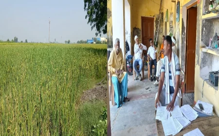 ALLEGATIONS OF A Rs. 16 CRORE EMBEZZLEMENT IN PADDY PROCUREMENT