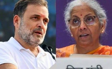 टाटा समूह की बैठक पर राहुल गांधी के सवाल, निर्मला सीतारमण ने लगाया राजनीतिकरण का आरोप