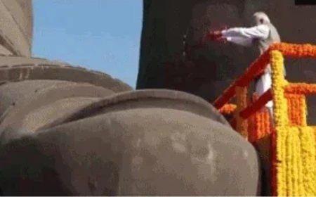 सरदार पटेल जयंती पर पीएम मोदी ने दी श्रद्धांजलि, स्टैच्यू ऑफ यूनिटी पहुंचे