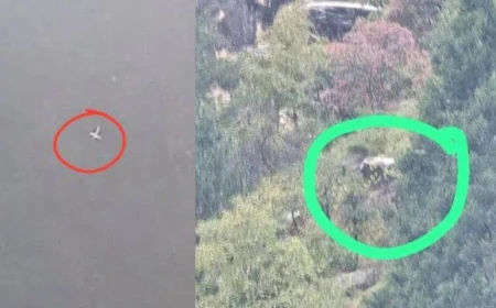 जोशीमठ हेलीकॉप्टर हादसा: बेंगलुरु के पांच श्रद्धालुओं की मौत, पुलिस इंस्पेक्टर भी शामिल