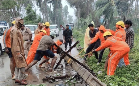 चक्रवात अर्नब का असर: उत्तर भारत में गिरा तापमान, ओडिशा-आंध्र में भारी नुकसान; कई राज्यों में बारिश का अलर्ट