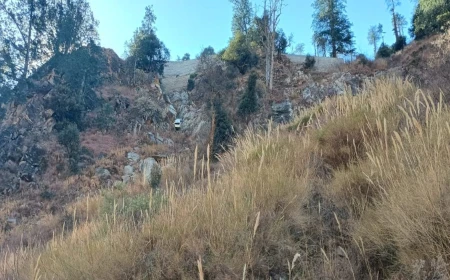 हिमाचल के किन्नौर में दर्दनाक सड़क हादसा, खाई में गिरी कार; चार की मौत, एक घायल