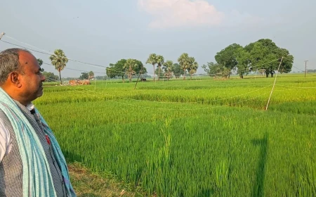 WEATHER CONDITIONS HEIGHTEN FARMERS’ CONCERNS