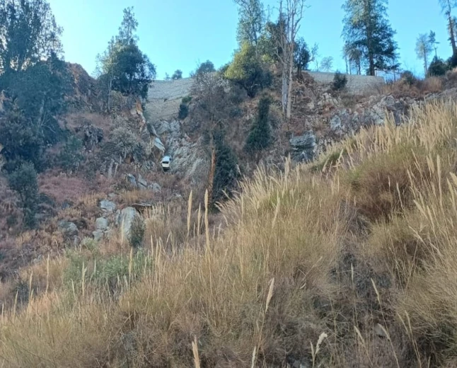 हिमाचल के किन्नौर में दर्दनाक सड़क हादसा, खाई में गिरी कार; चार की मौत, एक घायल